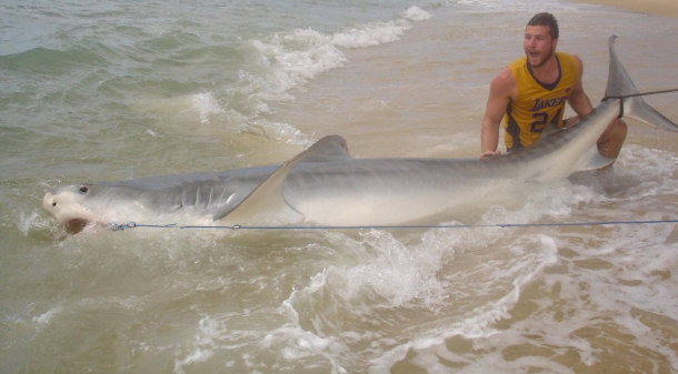Shark fisho makes headlines